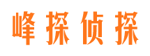 云安寻人公司